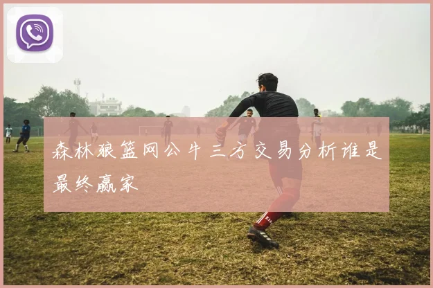 森林狼篮网公牛三方交易分析谁是最终赢家