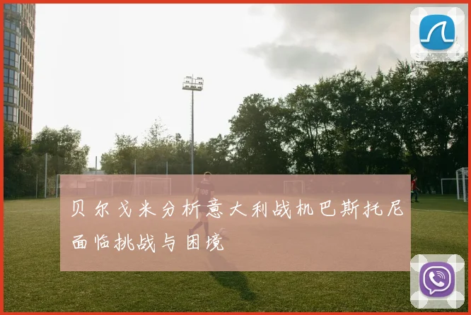 贝尔戈米分析意大利战机巴斯托尼面临挑战与困境