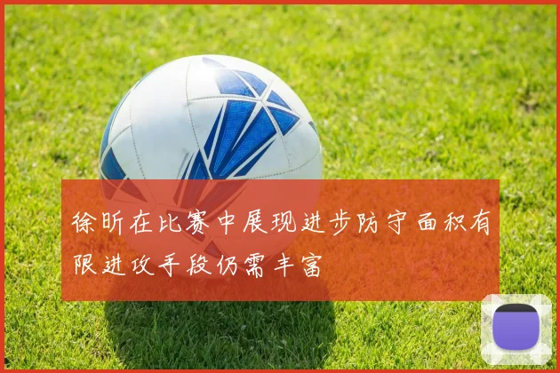 徐昕在比赛中展现进步防守面积有限进攻手段仍需丰富
